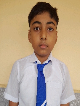 ARIN BISWAS